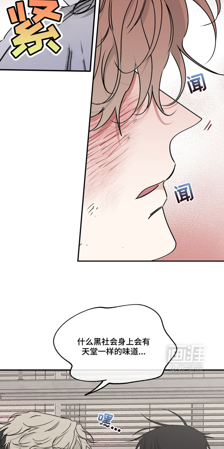 海之边境 - 第261话 - 第14页