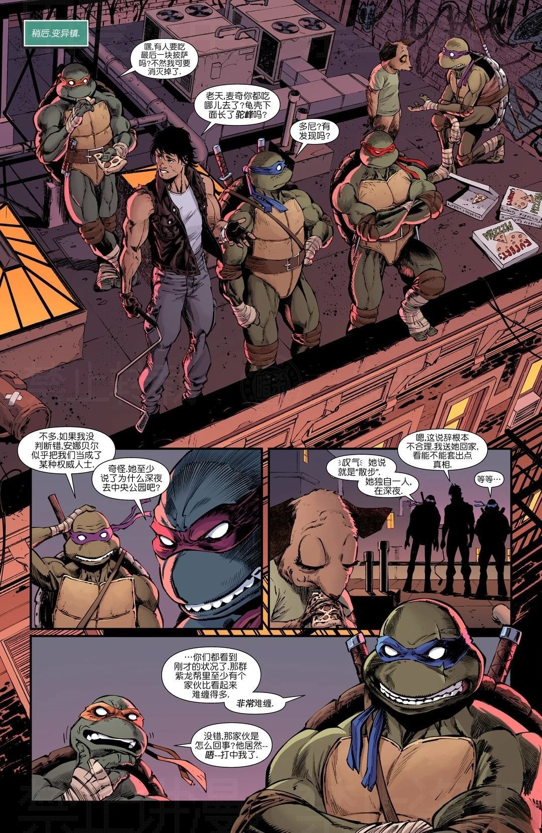忍者神龟v6 - 凯西01 - 第17页