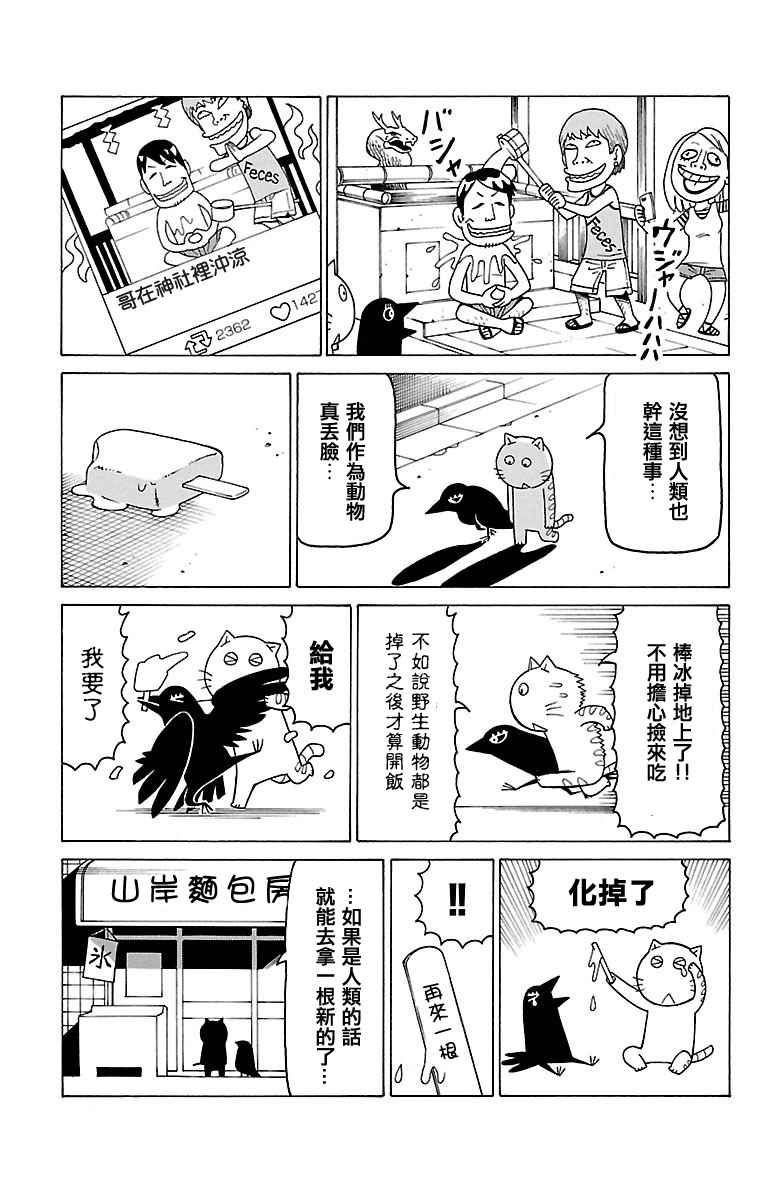 我家的街猫 - 第377话 - 第2页